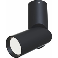 Потолочный светильник MAYTONI Dafne C027CL-L10B
