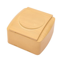 Розетка с крышкой Lezard DEMET с заземлением, ясень 711-4700-123