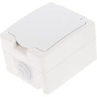 Розетка UNIVersal Аллегро с/з, з/ш, с крышкой, IP54, белая 5563286
