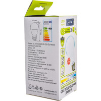 Светодиодная лампа General Lighting Systems WA60-20W-E27-690100