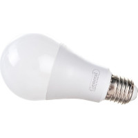 Светодиодная лампа General Lighting Systems WA60-20W-E27-690000