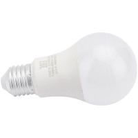 Светодиодная лампа General Lighting Systems WA60-14W-E27-2700K 637000