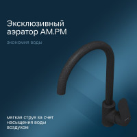 Смеситель для кухни AM.PM Like элегантный черный F8007122