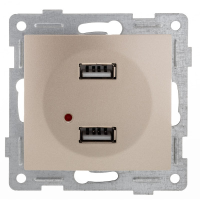 GUSI ELECTRIC Bravo МЕХ. розетки USB, двойной, СУ, шампань С10USB2-027