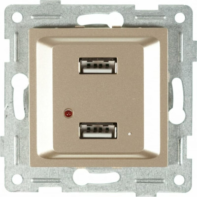 GUSI ELECTRIC Ugra МЕХ. розетки USB, двойной, СУ, шампань С11USB2-027