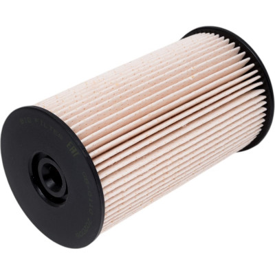 BIG FILTER Фильтр топливный AUDI A3, TT II, SEAT Altea, Leon II, Toledo III, SKODA Octavia II GB6110