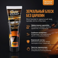 Паста "Антицарапин" Golden Snail 100 мл GS4007