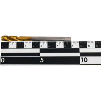 Метчик TORNERI М 8х1.25 HSSE 6H DIN376 TiN 036395