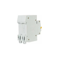 Автоматический выключатель IEK ВА47-29 2Р 4А 4,5кА х-ка В MVA20-2-004-B