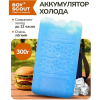 Гелевый аккумулятор холода BOYSCOUT 300 г 40 61542