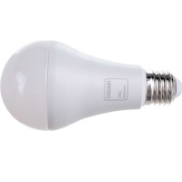 Светодиодная лампа FERON PRO LB-1020 Шар E27 20W 2700K OSRAM LED 38041