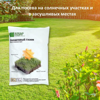 Семена газона Зеленый Квадрат Солнечный 1 кг для создания газона в засушливых местах 4607160331232