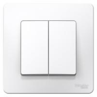 2-клавишный выключатель Systeme Electric (Schneider Electric) BLANCA С/У, 6А, 250В, БЕЛЫЙ BLNVS006501