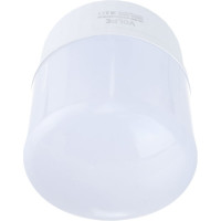Светодиодная лампа Volpe LED-M80-50W/6500K/E27/FR/NR, матовая Серия Norma UL-00006792