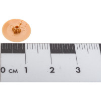 Заглушка на шуруп ЕВРОПАРТНЕР с крестообразным шлицем PZ2, беж. 50 шт. 16 1591 4