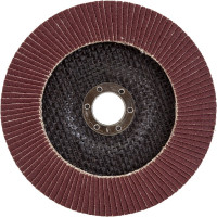 Диск лепестковый торцевой (150х22 мм; P120) ON 19-02-013