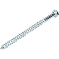 Сантехнический шуруп с ШГ ЕВРОПАРТНЕР DIN 571 Zn 8х120 10шт. 5 0953 3