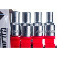 Набор инструмента ABTOMTOOL РROFFI, на планке 1/4 12 предметов, с трещоткой, CrV, 5443012