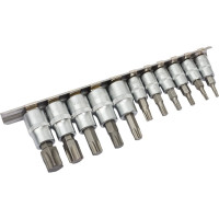 Набор головок со вставками TORX РROFFI (11 шт; T10-T60; 1/4"+3/8"; CrV) ABTOMTOOL 5443011