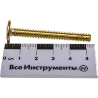 Мебельный винт с плоской головкой ЕВРОПАРТНЕР латунир. М6х50 20шт. 6 1609 6