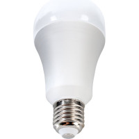 Светодиодная лампа Ergolux LED-A70-35W-E27-6K ЛОН, 35Вт, E27, 6500K, 180-240В 14232