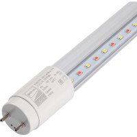 Светодиодная лампа Jazzway PLED T8-600 Food Meat 9Вт G13 230В/50Гц Cl/PL для подсветки мясных продуктов 5006461