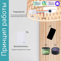 Умный выключатель GRITT Practic SX 1 клавиша, белый комплект 1 выключатель, IP67, 1 радиореле, 220В, 1000Вт 433 + 13125 11114
