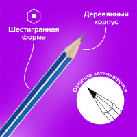 Чернографитные карандаши BRAUBERG ZTX НАБОР 12 шт., HB, с резинкой, синий корпус 180672