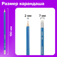 Чернографитные карандаши BRAUBERG ZTX НАБОР 12 шт., HB, с резинкой, синий корпус 180672
