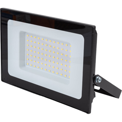 Светодиодный прожектор Ultraflash LFL-10001 C02 черный LED SMD, 100 Вт, 230В, 6500К 14285