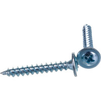 Саморез с прессшайбой Экопласт 4.8x32 мм, шлиц PH 47403-100