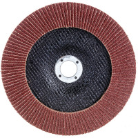 Круг лепестковый торцевой (180х22.23 мм; Р40) REDVERG 920411 6624177