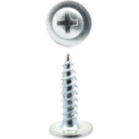 Саморезы Steelfix 4,2х19 ПШО (прессшайба острые), цинк, 1кг (684шт), А-00203