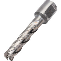 Сверло кольцевое (12х55 мм; HSS; Weldon 19) EUROBOOR HCL.120