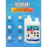 Универсальное моющее средство Мультимэйд для уборки на производстве, в офисе и дома, 1 л с дозатором 4607002304141