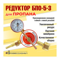 Редуктор пропановый БПО-5-3 Профессионал 70301