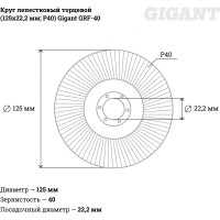 Gigant Круг лепестковый торцевой 125x22,2 GRF-40