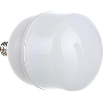 Econ LED GL 40Вт E27 6500K HP 7840020