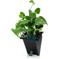 Автономная система озеленения Green Helper GWA-20Wi-Fi