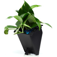 Автономная система озеленения Green Helper GWA-20Wi-Fi