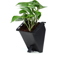 Автономная система озеленения Green Helper GWA-20Wi-Fi