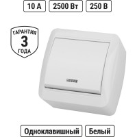 Выключатель одноклавишный накладной с подсветкой, белый IP44 TDM ELECTRIC 10А, серия "Селигер" SQ1818-0003