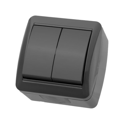 2-клавишный выключатель TDM ELECTRIC открытой установки IP44 10А серый "Селигер" SQ1818-0102