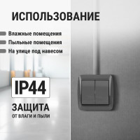 2-клавишный выключатель TDM ELECTRIC открытой установки IP44 10А серый "Селигер" SQ1818-0102