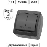 Выключатель двухклавишный накладной с подсветкой, серый TDM ELECTRIC IP44 10А серия "Селигер" SQ1818-0104