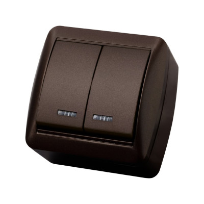 Выключатель с подсветкой двухклавишный накладной IP44 TDM ELECTRIC 10А шоколад, серия "Селигер" SQ1818-0204