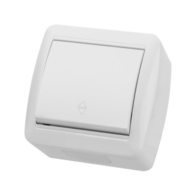 Выключатель на 2 направления накладной одноклавишный, белый IP44 TDM ELECTRIC 10А, серия "Селигер" SQ1818-0011