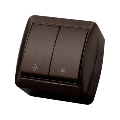 Выключатель на 2 направления двухклавишный накладной IP44 TDM ELECTRIC 10А шоколад, серия "Селигер" SQ1818-0212