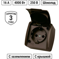 Розетка TDM ELECTRIC 2П+3 открытой установки IP54 16А с крышкой шоколад "Селигер" SQ1818-0213
