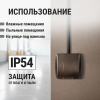 Розетка TDM ELECTRIC 2П+3 открытой установки IP54 16А с крышкой шоколад "Селигер" SQ1818-0213